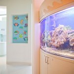 Fish tank and view of hallway