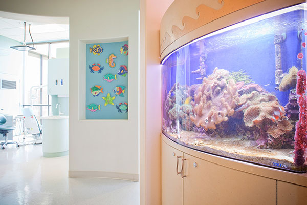 Fish tank and view of hallway