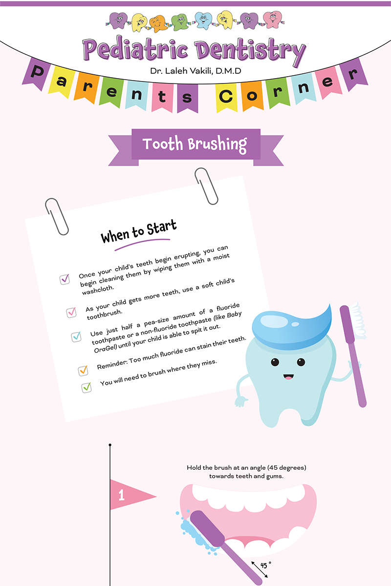 Tooth Brushing” infographic for parents — explains when to start brushing, how much toothpaste to use, and includes a cartoon tooth with brush.