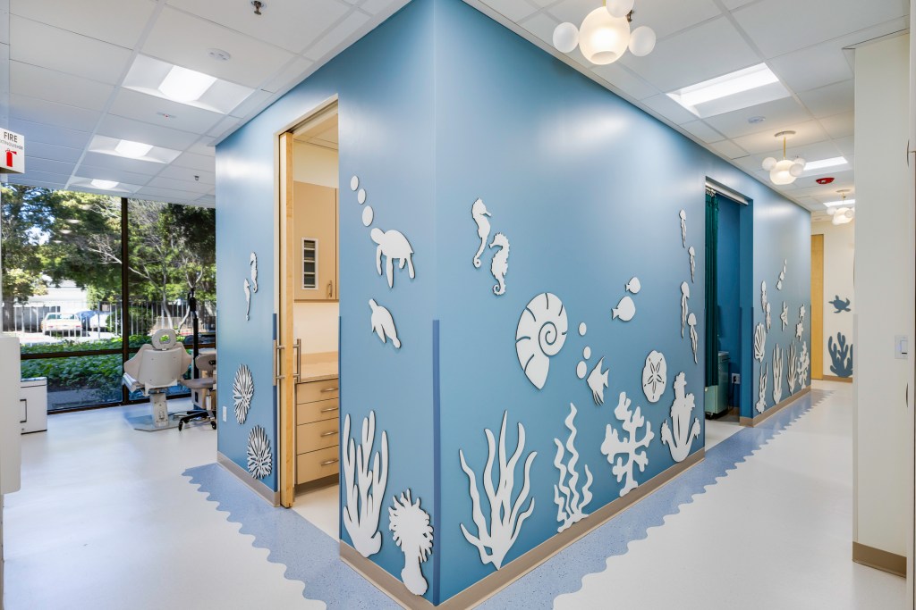 Corner view of hallway with light blue walls covered in white 3D sea creature cutouts, wooden doors, and large windows letting in natural light.