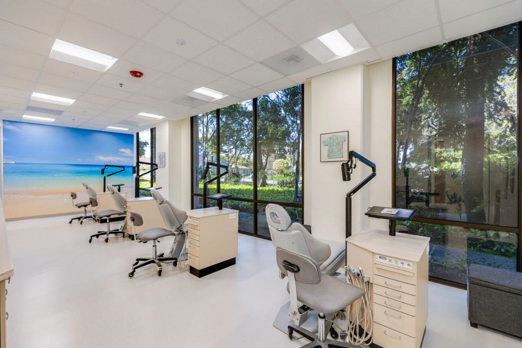 Dental treatment room with multiple operatories, ergonomic chairs, large windows overlooking greenery, and a beach mural on the back wall.