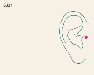 Simple line illustration of an ear with acupuncture point SJ21 marked by a pink dot on the upper cartilage near the helix.