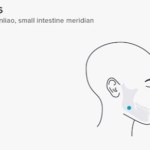 Side-view head diagram highlighting ST6 (Quanliao) point on the cheekbone, labeled as part of the small intestine meridian with a blue dot.